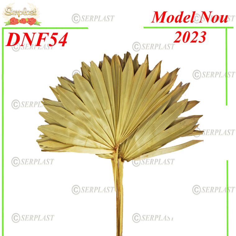 DNF54-Frunza Palmier- Decor Natural cu fir-Serplast