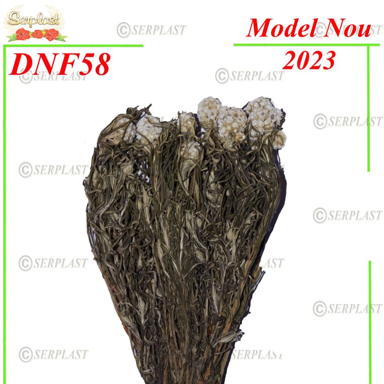 DNF58-FloriceleüDecor Natural cu fir-Serplast