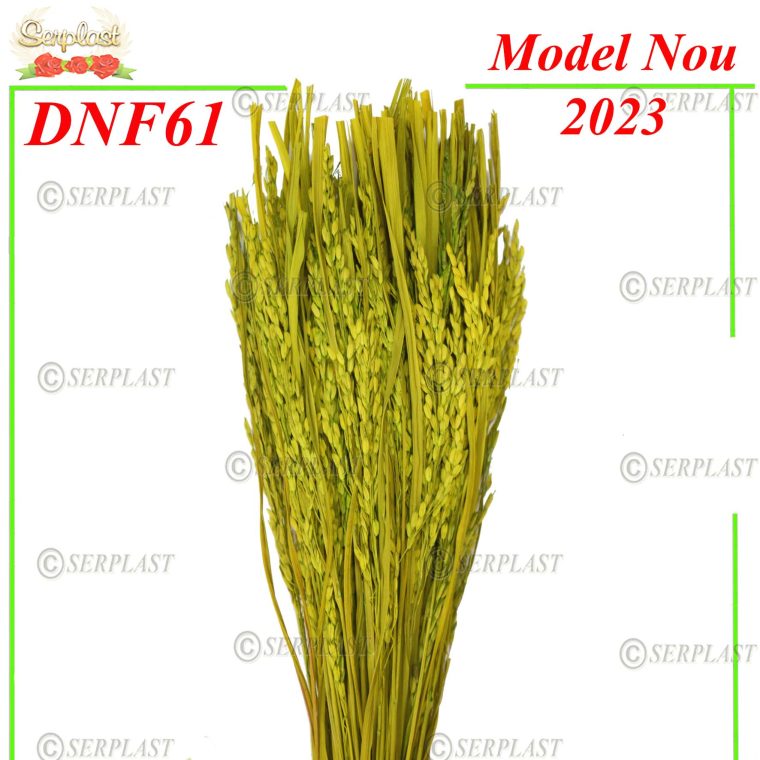 Floare de orez - DNF61- Tavă pentru aranjamente florale-Serplast