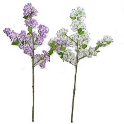 Buchet Lilia, B1131