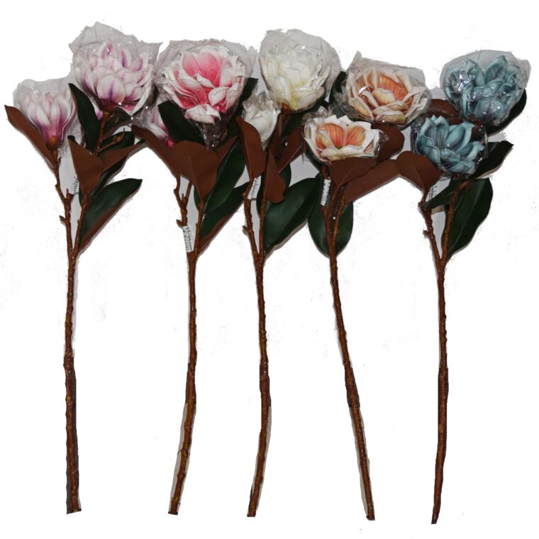Buchet Mimoza, B1138