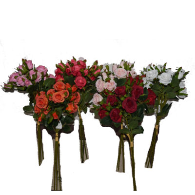 Buchet Trandafir, B1132