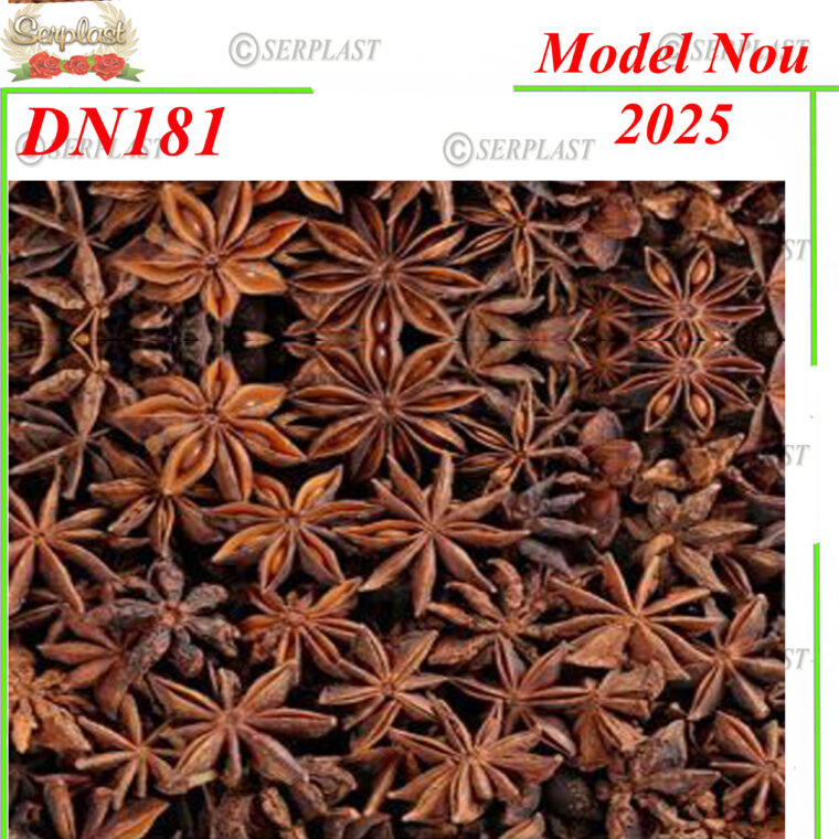 Anason Stea , DN181 -w