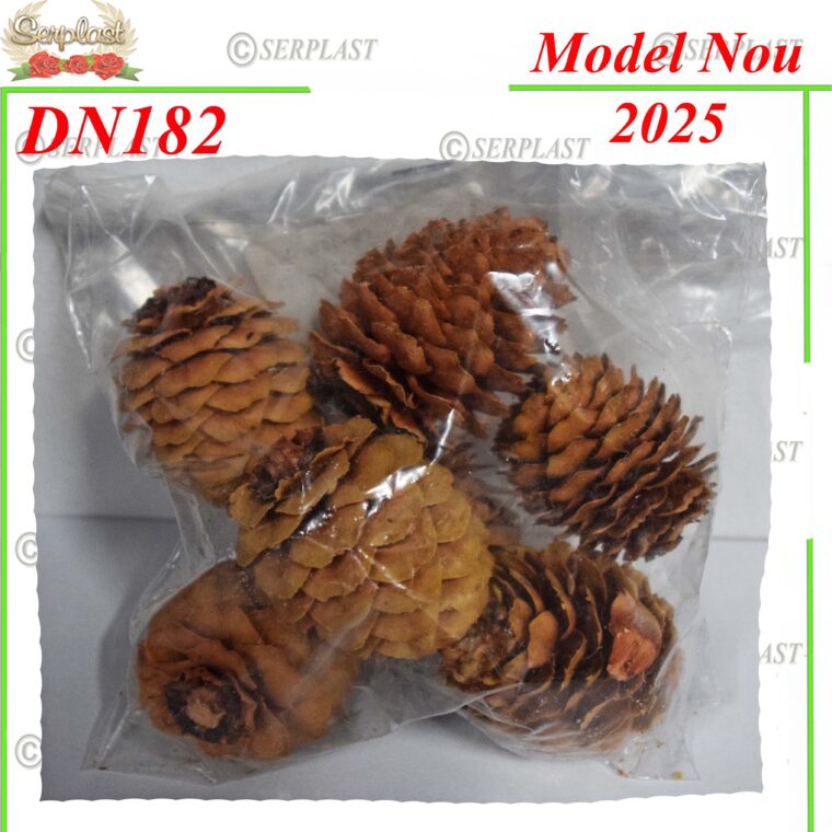 Con Mure , DN182 -w