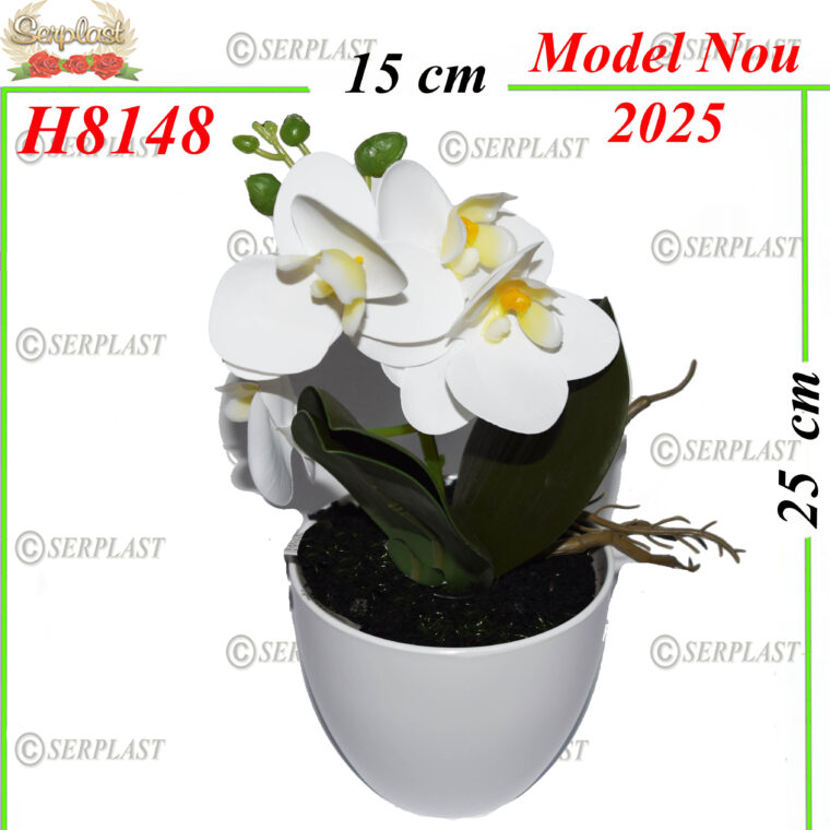 Orhidea in ghiveci ,H8148 -w