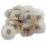 Capete Floarea Soarelui, DN188