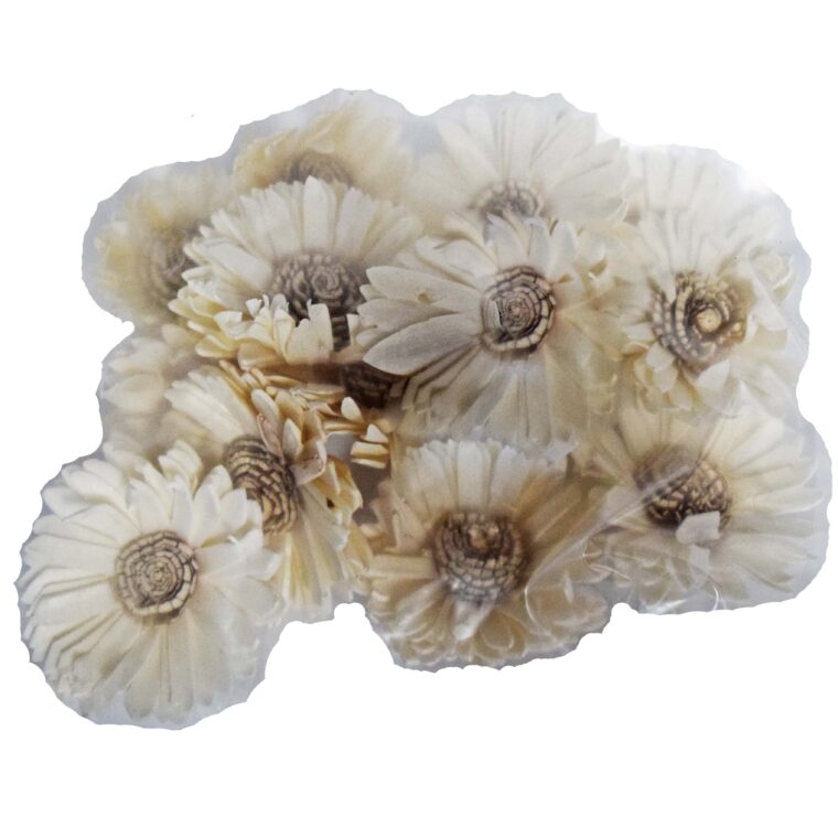Capete Floarea Soarelui, DN188