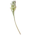 Gypsofila la bucata la fir , H7008