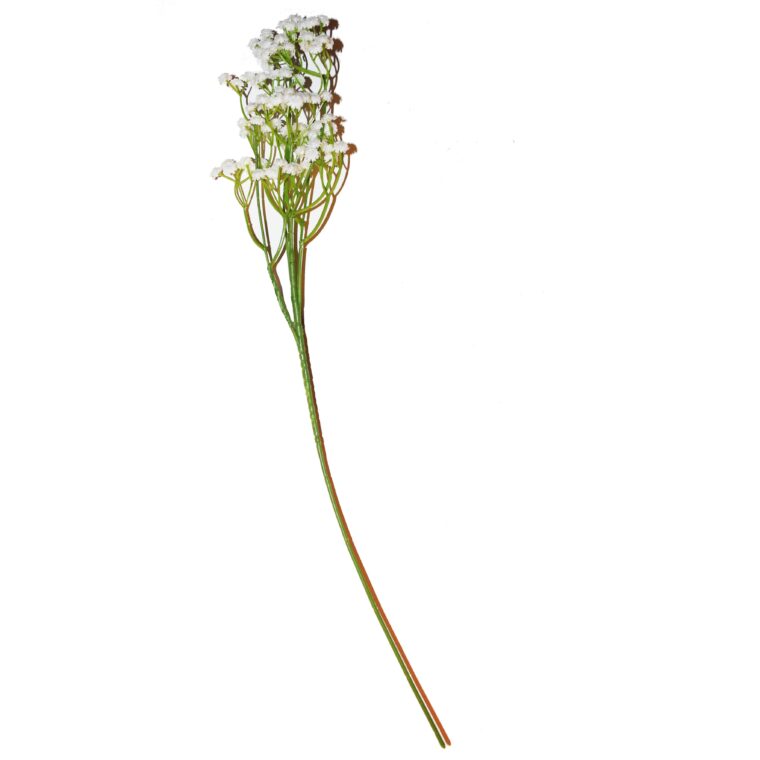 Gypsofila la bucata la fir , H7008