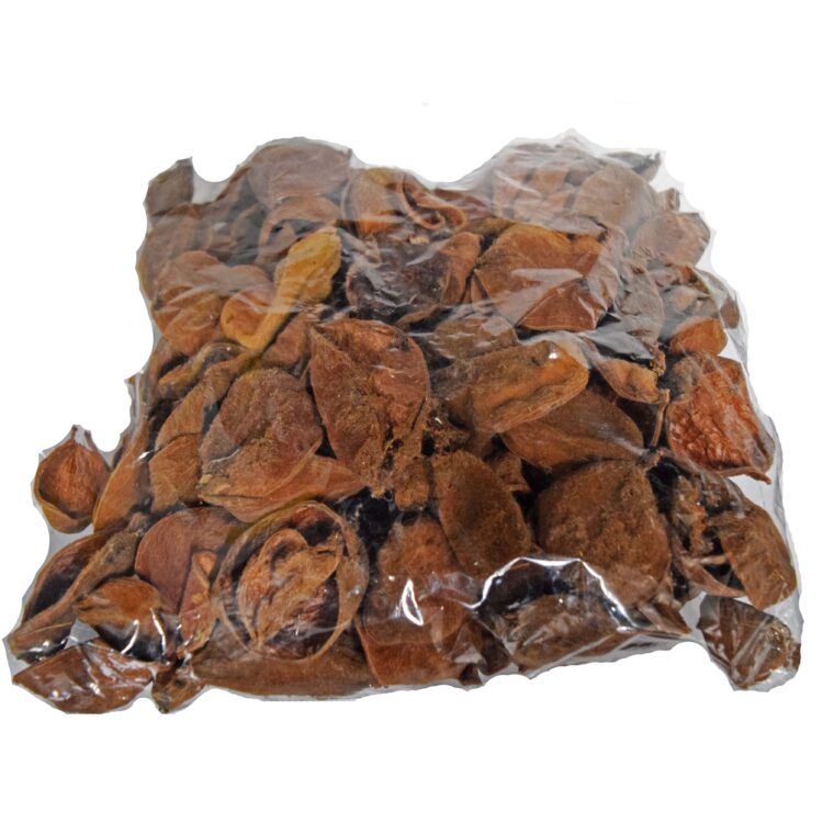 Petale Landiotus, DN190
