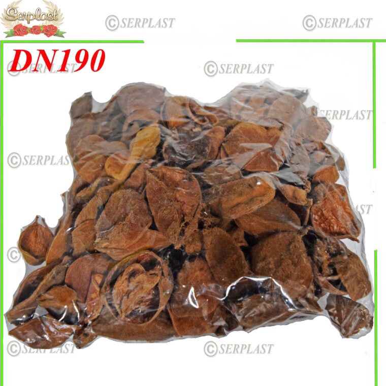Petale Landiotus, DN190 -w
